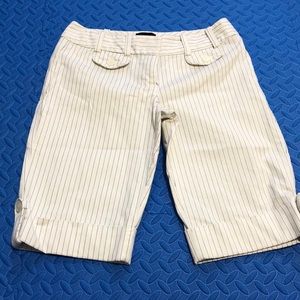 The Limited Bermuda Dress Pants